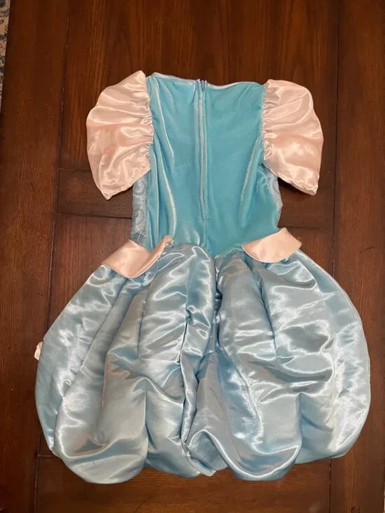 Disney Cinderella Princess Dress Puffy Skirt Sparkle Small 4-6X Princess Costume - Picture 5 of 5
